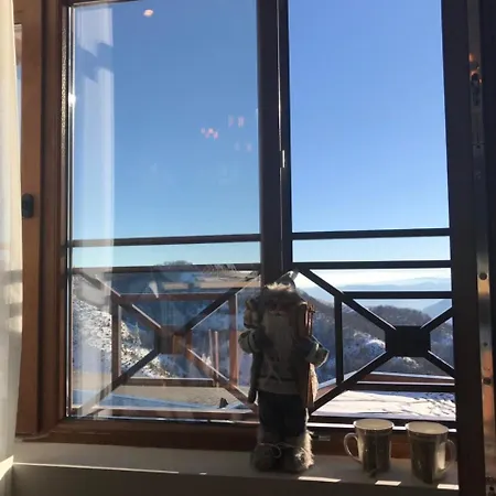 Milmari Premier 46 *